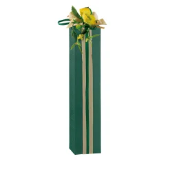 Flaschenkarton 1er 55 x 55 x 240 mm grün