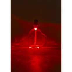 Flaschenlicht LED mit Fiberglas / Farbwechsel