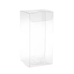 Klarsichtschachtel 50 x 50 x 105 mm